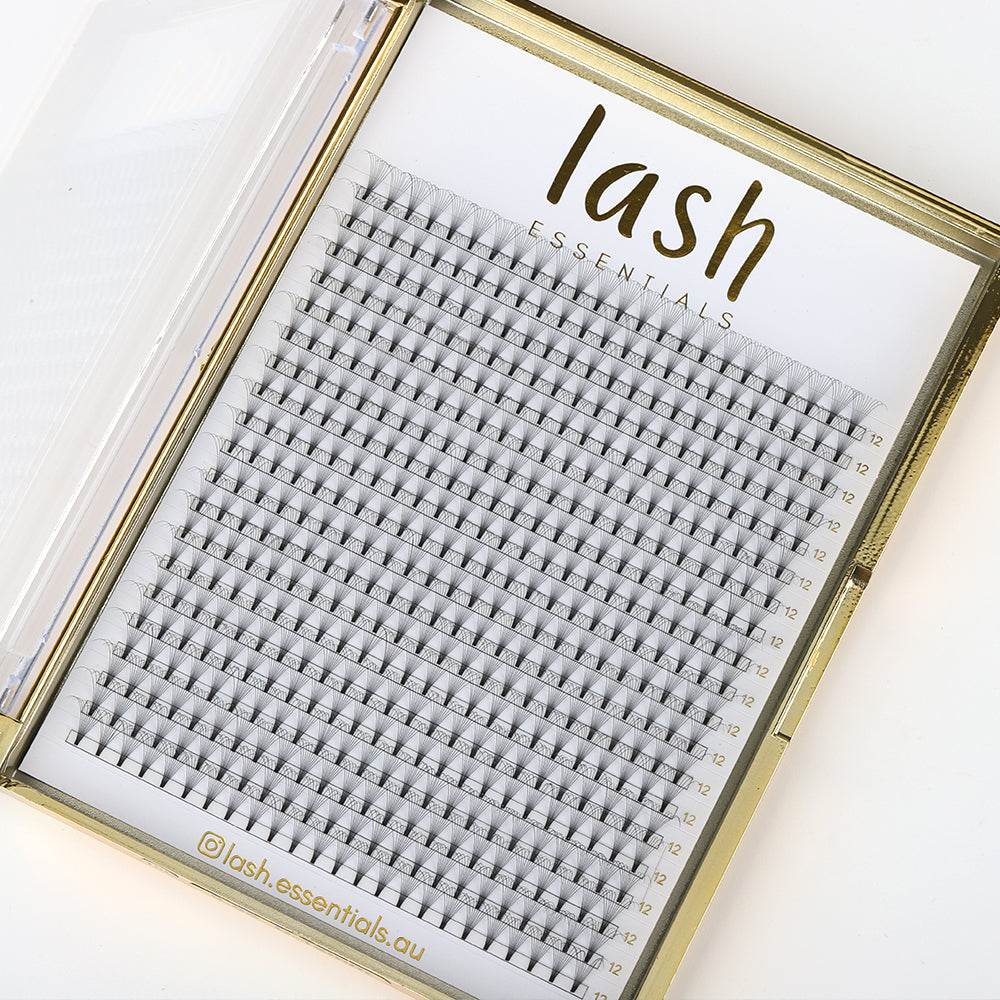 XL 10D lash tray