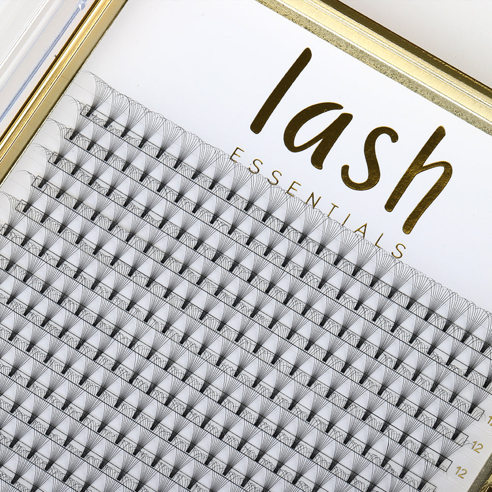 XL 10D lash tray